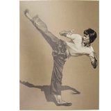 Bruce Lee Postcard Set - Malaysian Art Exhibition limited edition by Raphael Ma - Bruce Lee Club